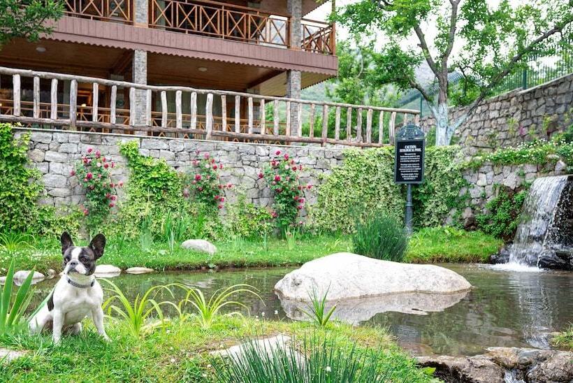Storii By Itc Hotels Urvashis Retreat, Manali