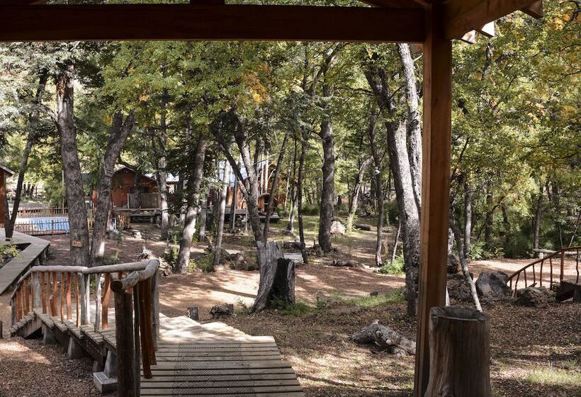 酒店 Y Cabañas Borde Andino