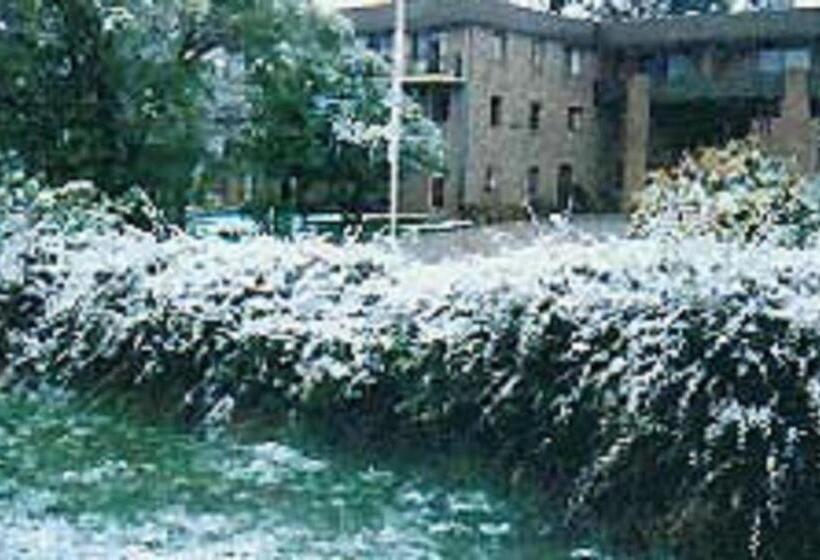 מוטל Southern Cross Motor Inn