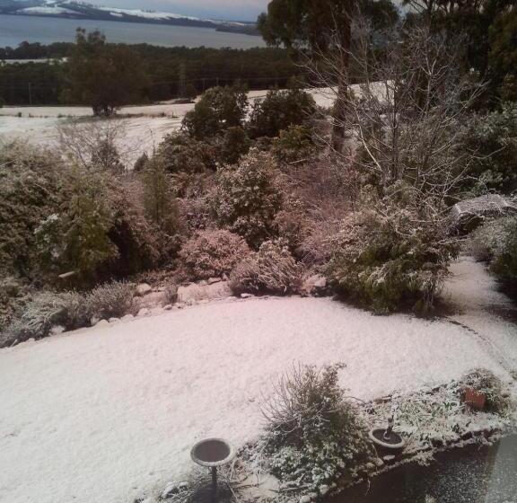 Waterview Gardens B&b