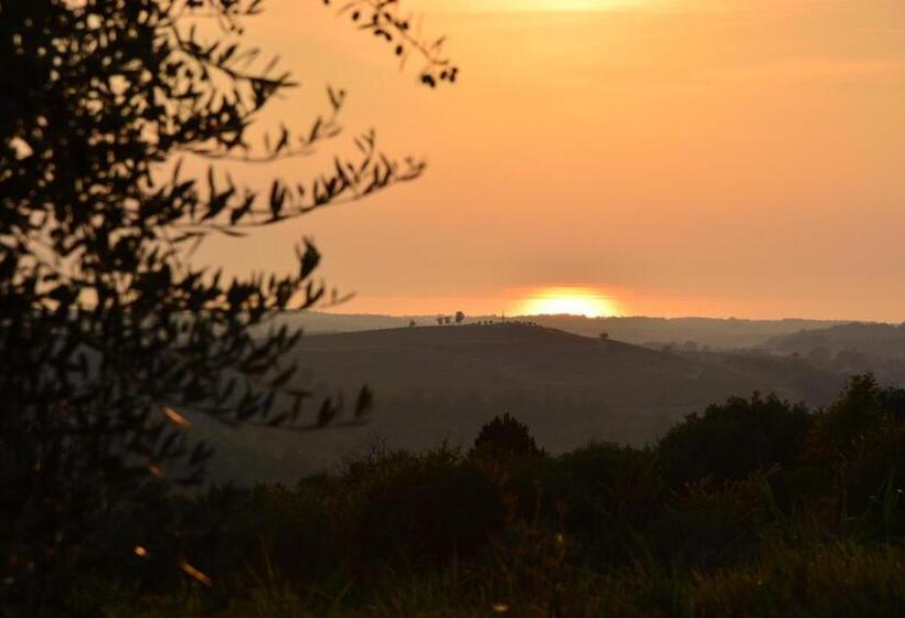 مبيت وإفطار Bella & Stella Rooms