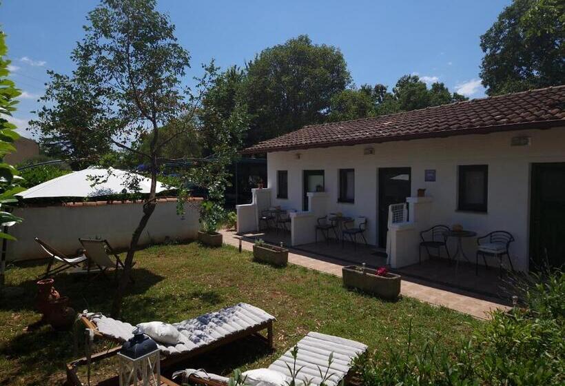 مبيت وإفطار Rooms Lav