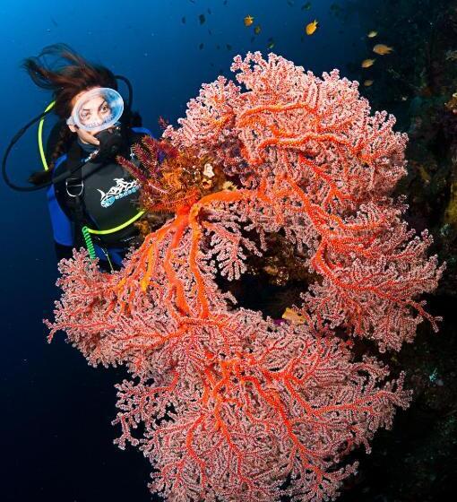 Benthos Bali Dive Resort