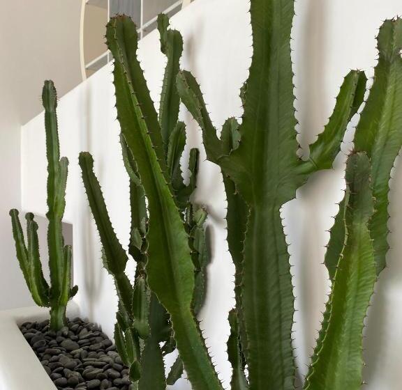 酒店 Absolute Mykonos Suites & More