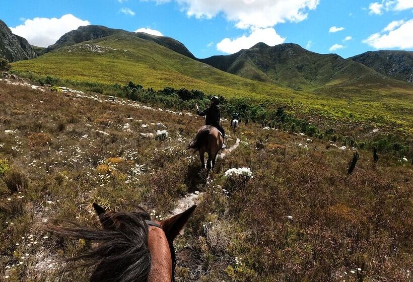 Отель Africamps At Stanford Hills Estate Glamping