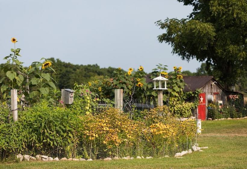 فندق Applesauce Inn B&b