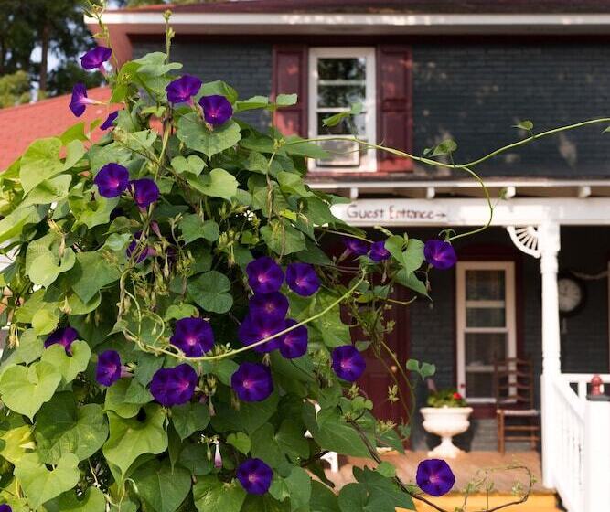 فندق Applesauce Inn B&b