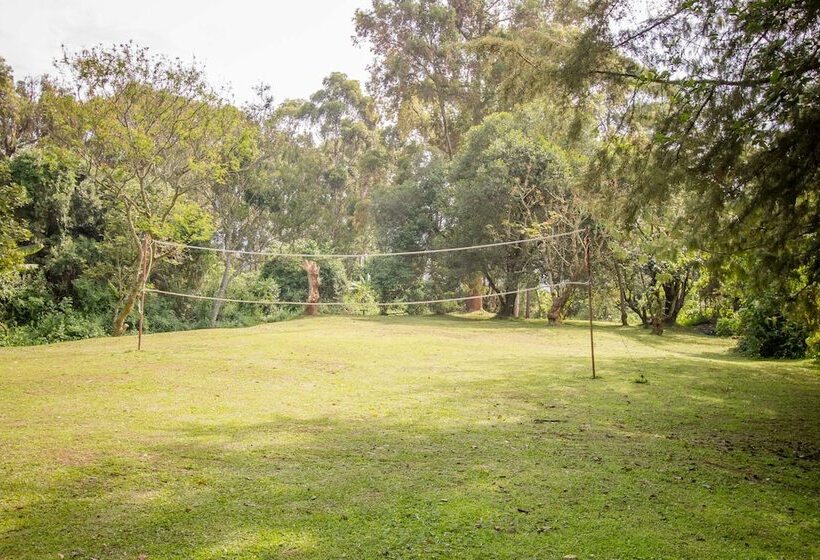 هتل Bushara Island Camp