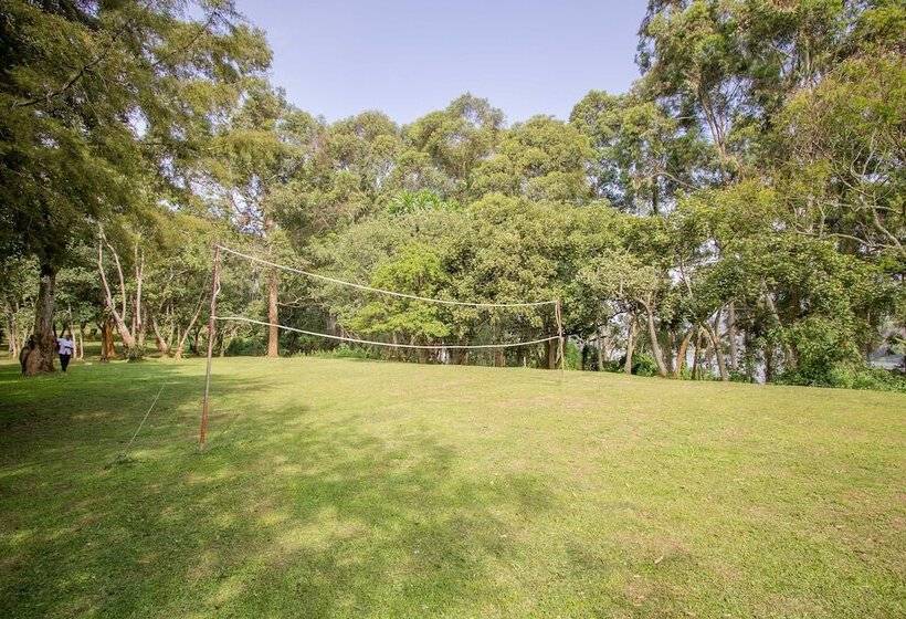 هتل Bushara Island Camp