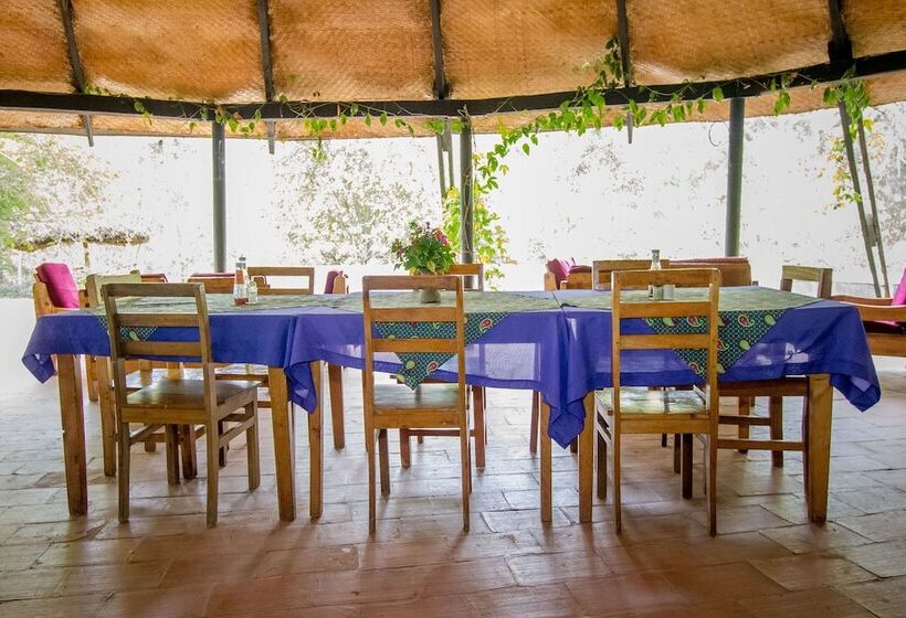 هتل Bushara Island Camp