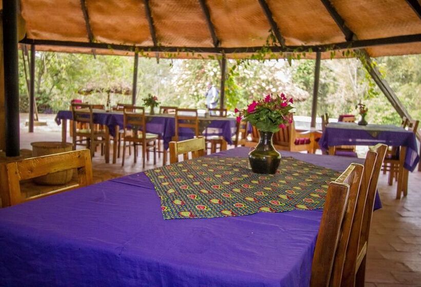 هتل Bushara Island Camp