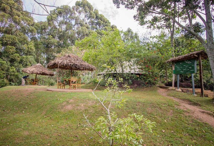 هتل Bushara Island Camp