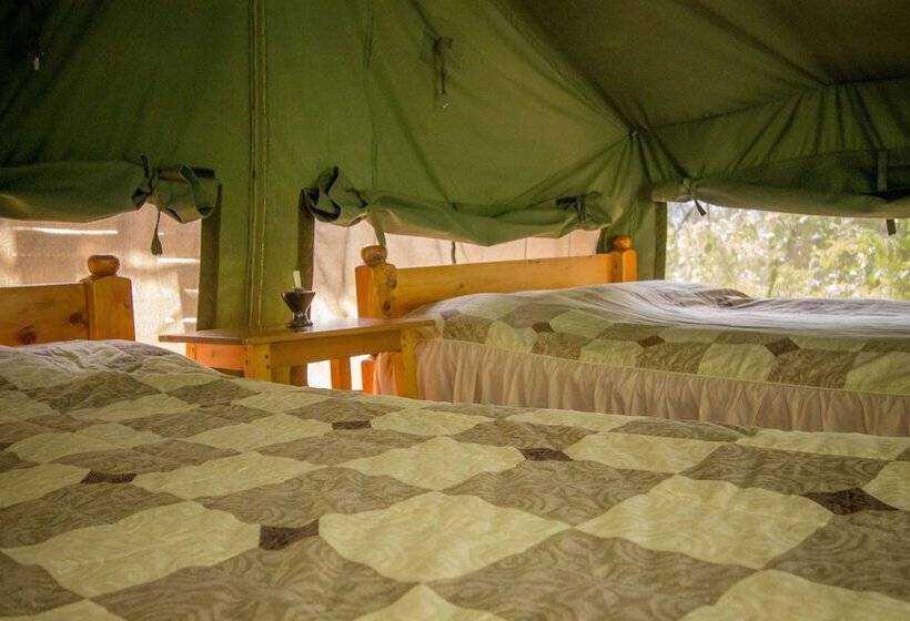 هتل Bushara Island Camp