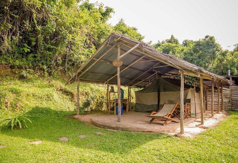 هتل Bushara Island Camp