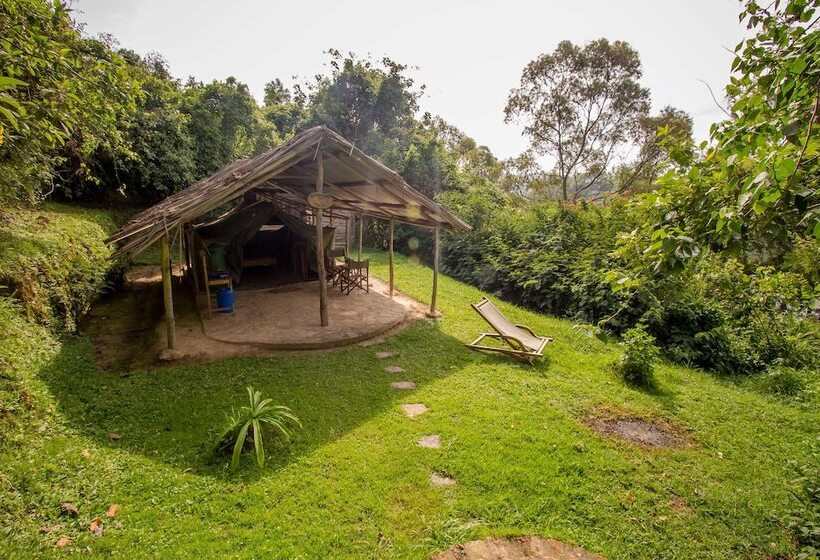 هتل Bushara Island Camp