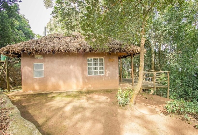 هتل Bushara Island Camp