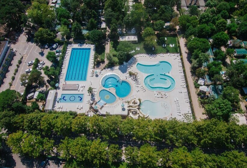 Отель Camping Sabbiadoro