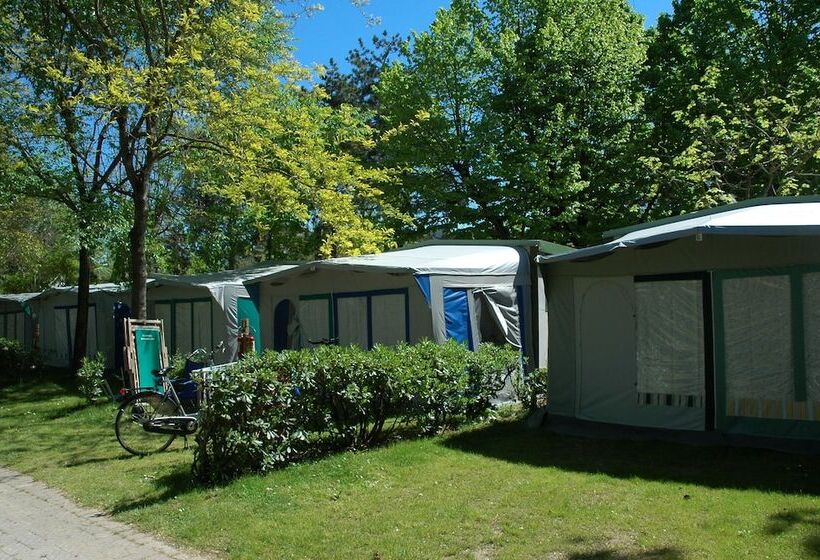 Отель Camping Sabbiadoro