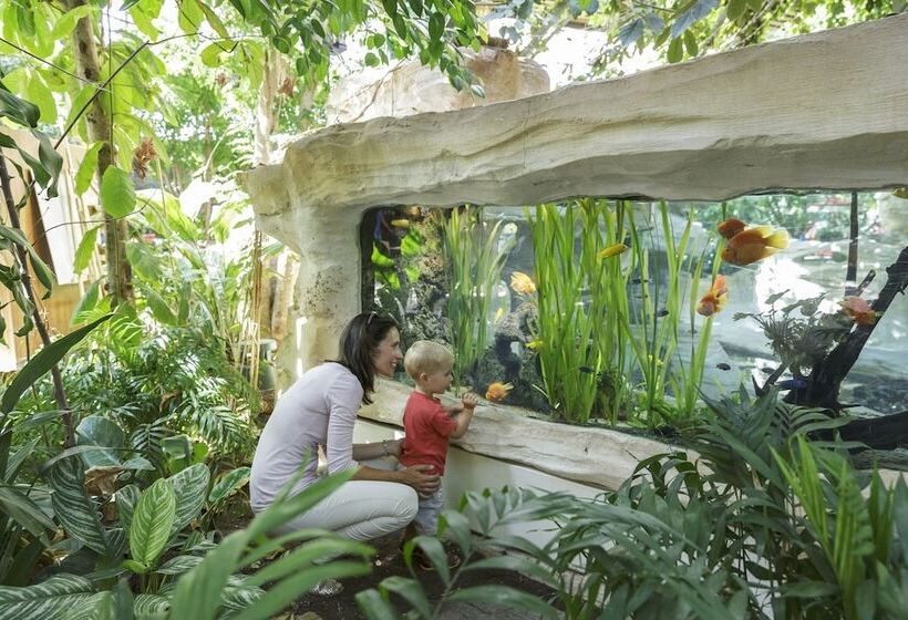 Отель Center Parcs Les Trois Forêts