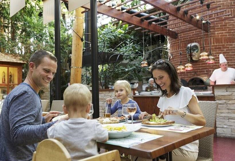 Отель Center Parcs Les Trois Forêts