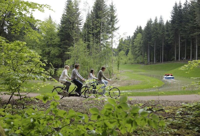 Отель Center Parcs Les Trois Forêts
