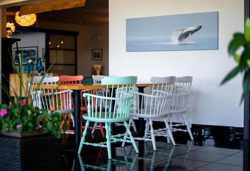 酒店 Clarenville Inn