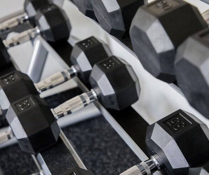 هتل Gamma Tampico