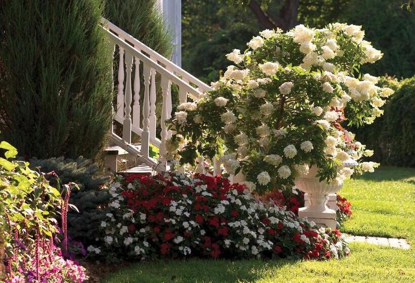 فندق The Glen House Resort