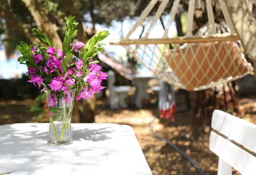 호텔 Golden Key Hisaronu