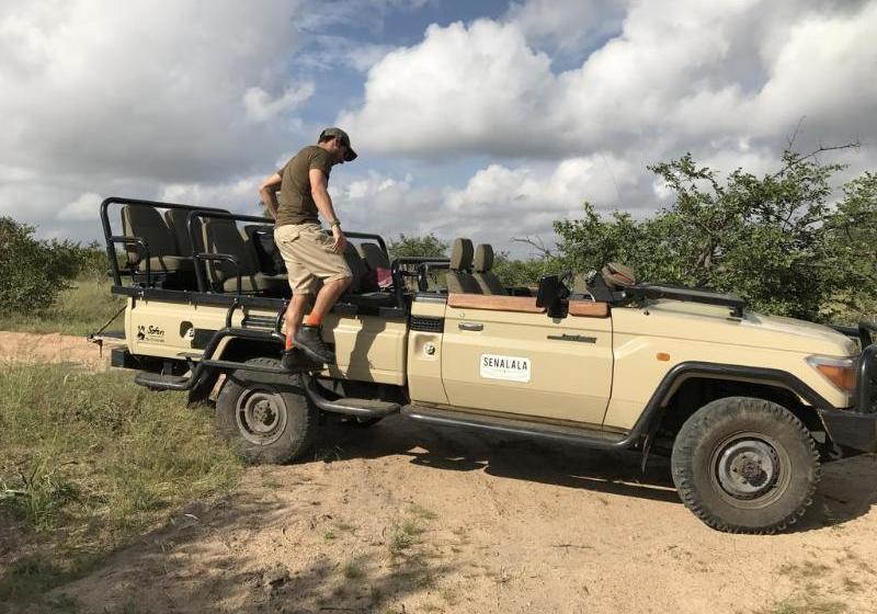 Отель Gomo Gomo Game Lodge