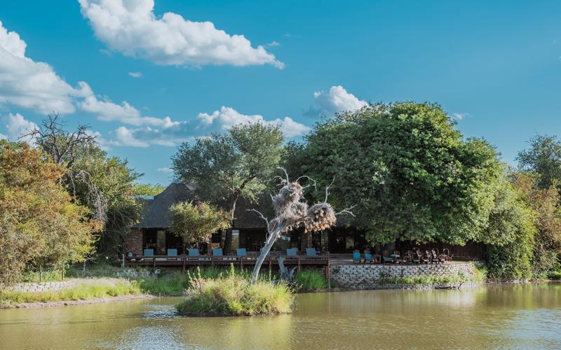 Отель Gomo Gomo Game Lodge