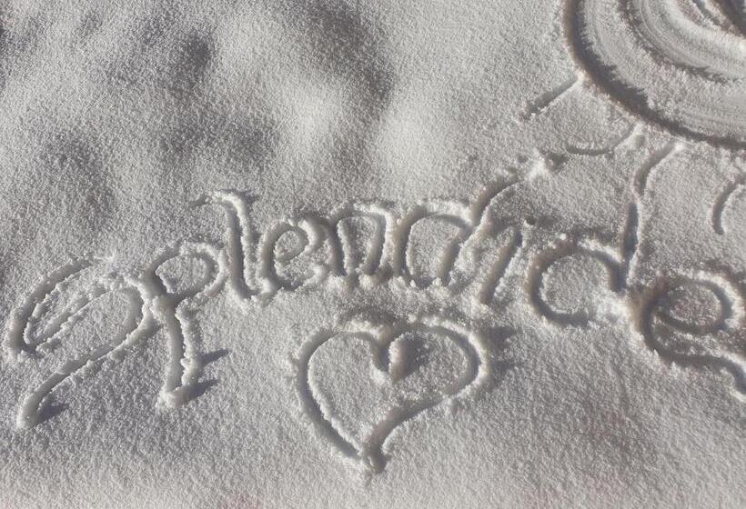 فندق Hôtel Splendide