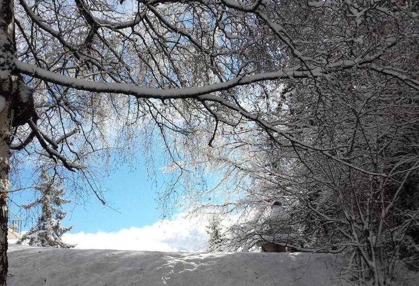 فندق Hôtel Splendide