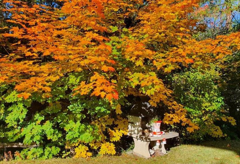 فندق Hôtel Splendide