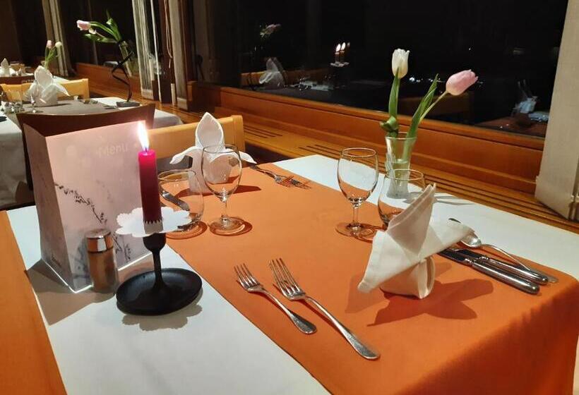 فندق Hôtel Splendide