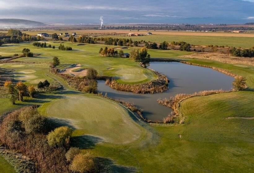 酒店 International