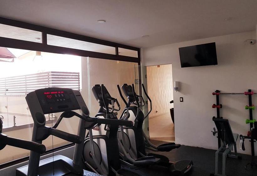 Отель La Casa de los Dos Leones