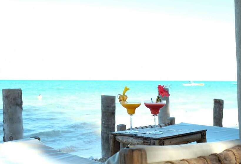 فندق Makuti Beach Bungalows