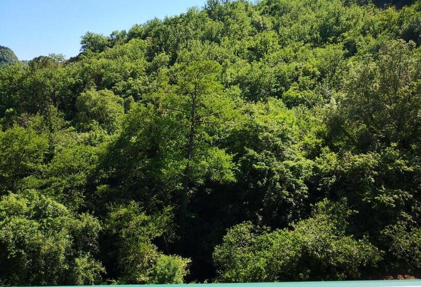 בית מלון כפרי Palia S