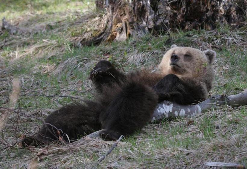 בית מלון כפרי Pansion I Restoran Bijela Ruža