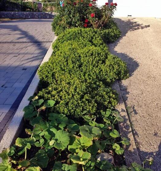 هتل Pension Antonia