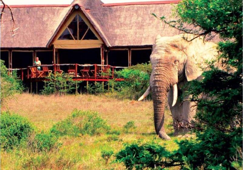 酒店 Reed Valley Inn