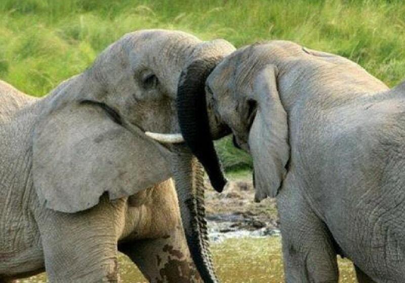 호텔 Reed Valley Inn