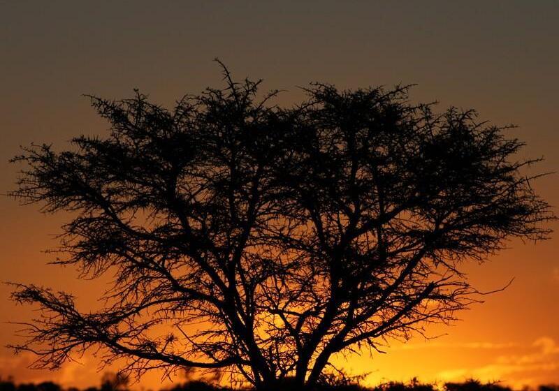 호텔 Reed Valley Inn