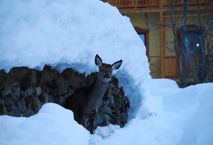 בית מלון כפרי Relais Regina