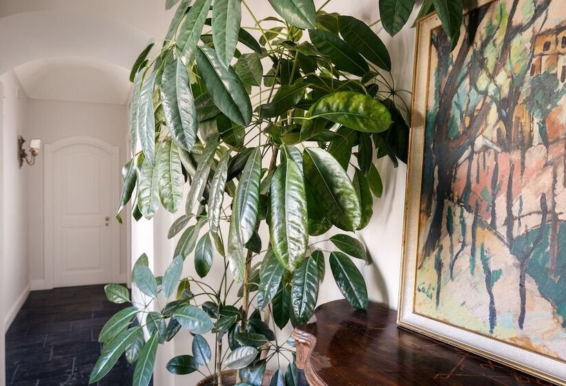 هتل San Carlo Suites