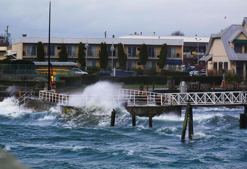 בית מלון כפרי Sidney Waterfront Inn & Suites