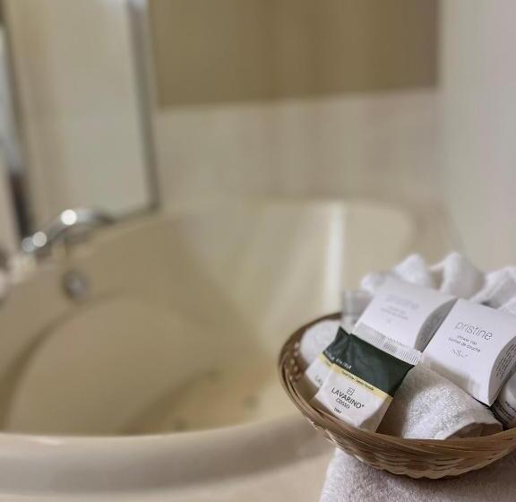 בית מלון כפרי Sidney Waterfront Inn & Suites