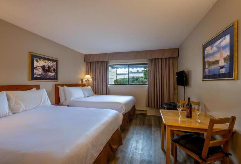 בית מלון כפרי Sidney Waterfront Inn & Suites