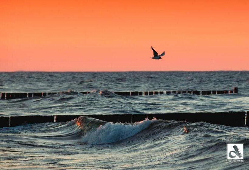 בית מלון כפרי Sonneneck